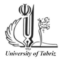 Tabriz University, IRAN